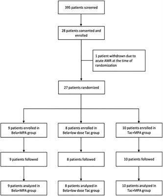 Early calcineurin-inhibitor to belatacept conversion in steroid-free kidney transplant recipients